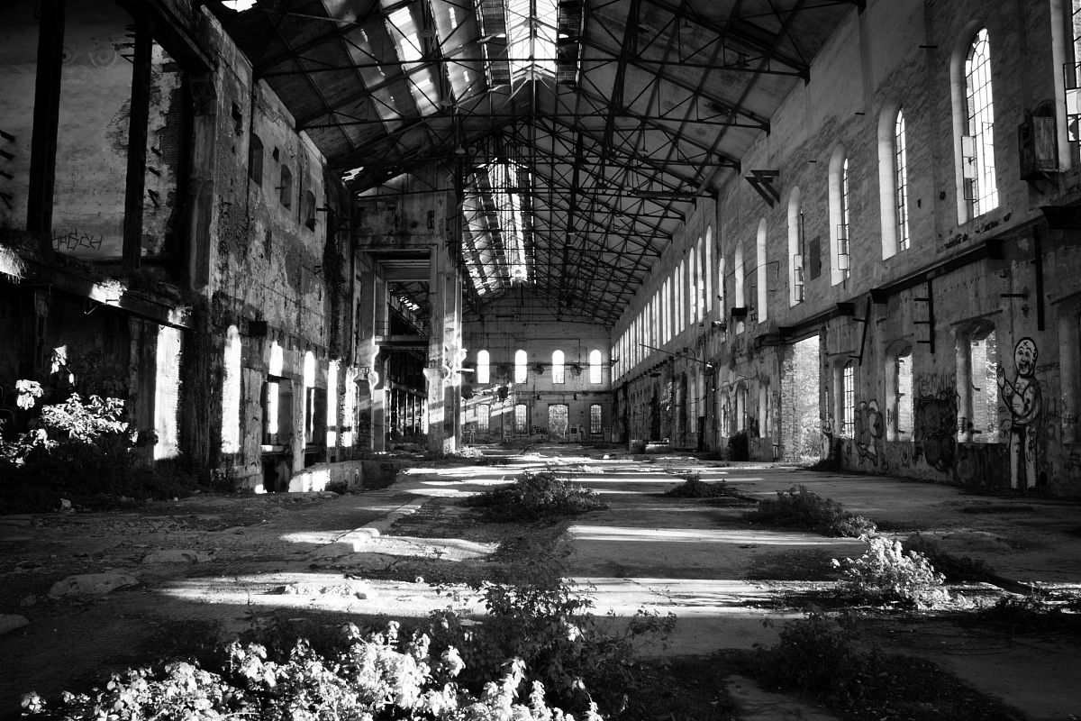 La Luce Nelle Tenebre