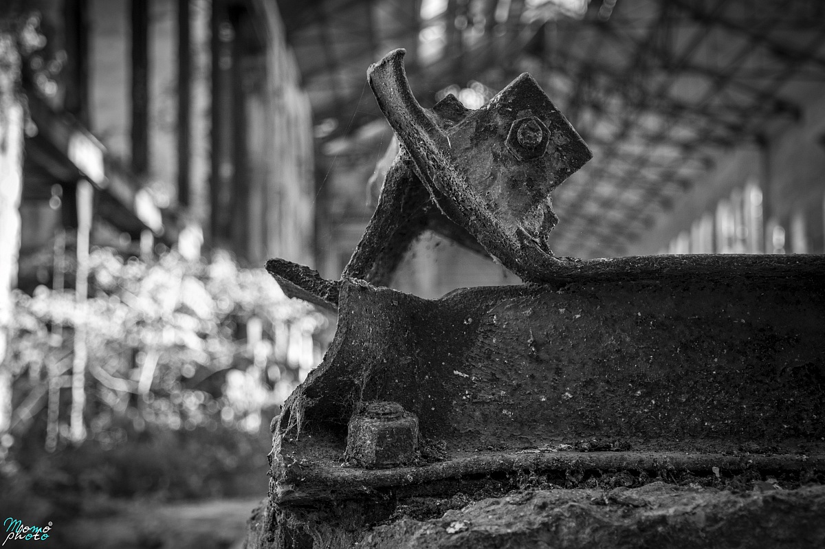 La Luce Nelle Tenebre