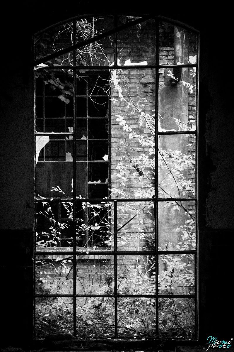 La Luce Nelle Tenebre