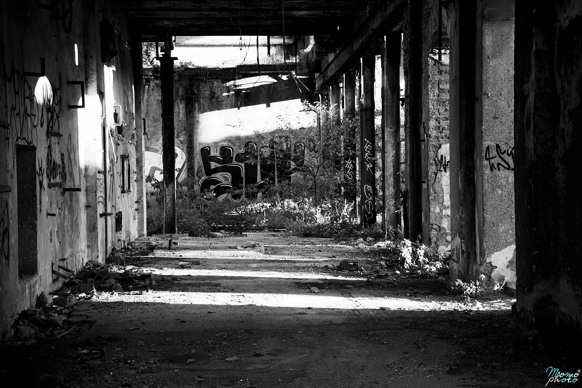 La Luce Nelle Tenebre