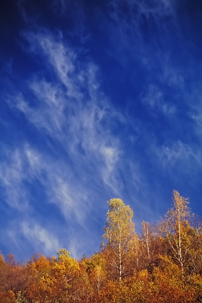 un cielo d'autunno