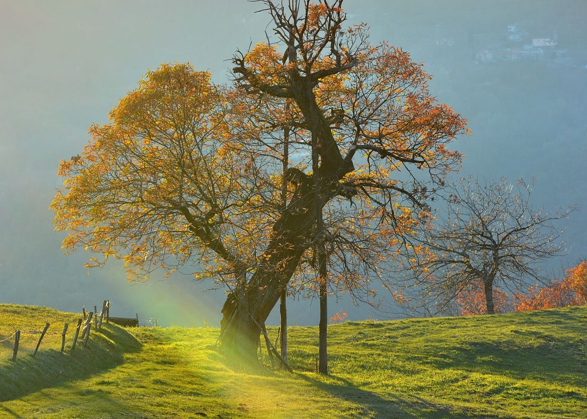 The last rays of sun