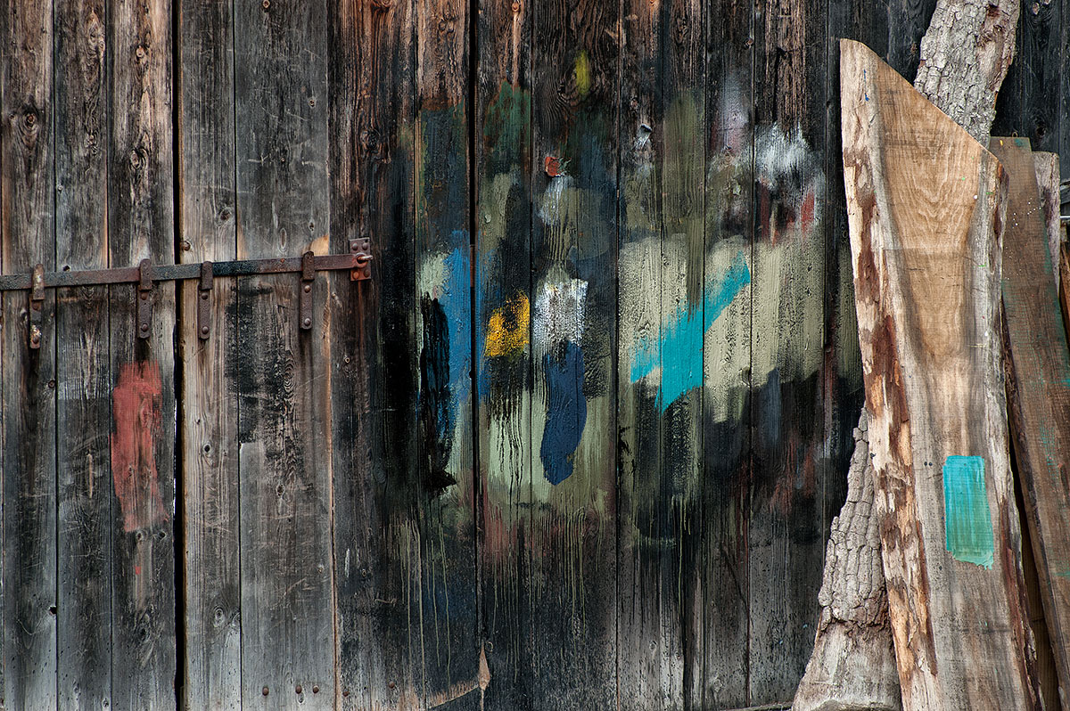 The "palette" of squeraro