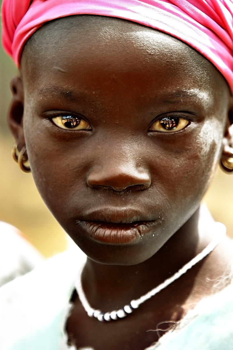 panthera pardus melas