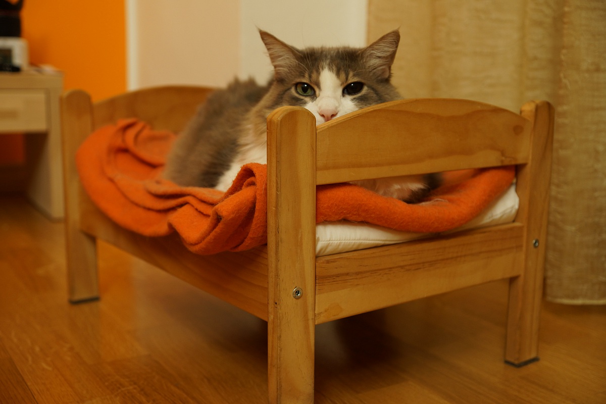 Ad ognuno il proprio letto