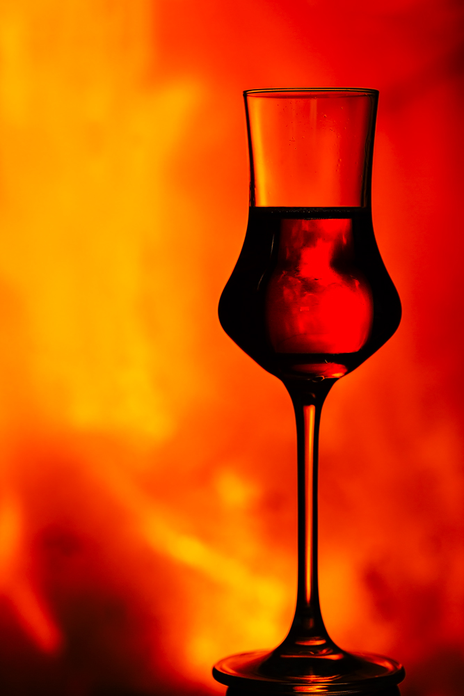 Vite rossa davanti al camino