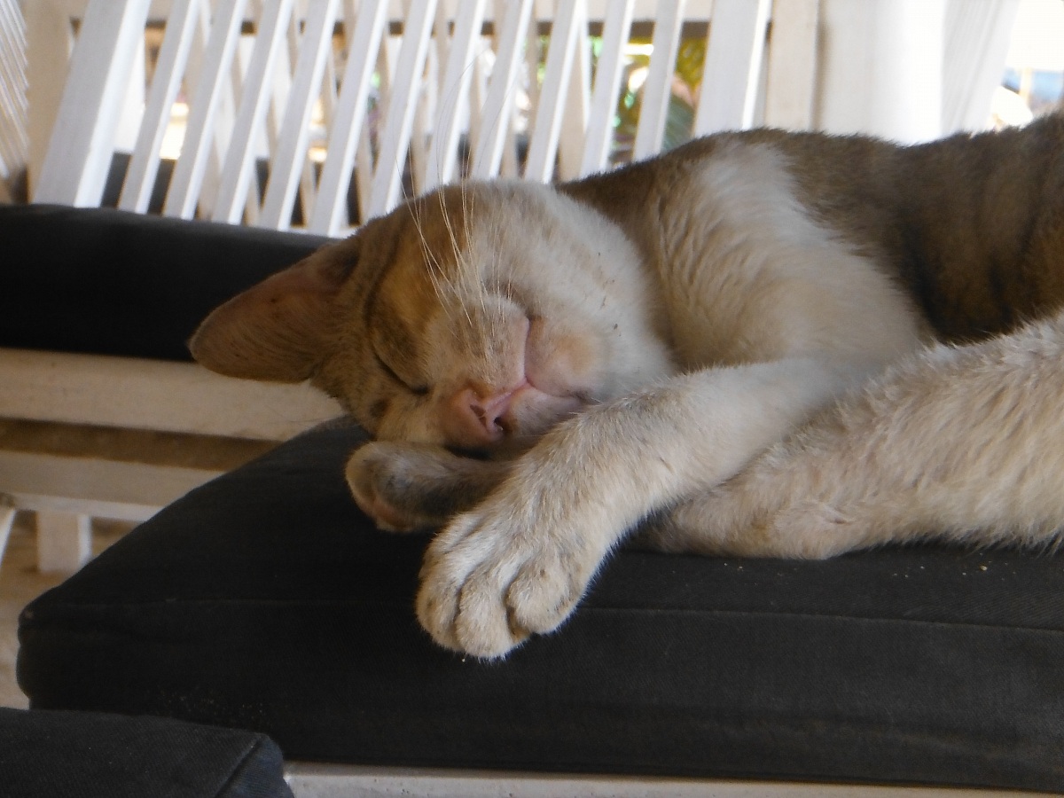 haaaaa  che dormita.