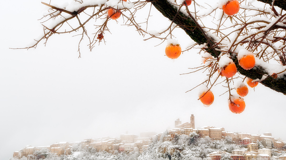 Merry Christmas ... my village.