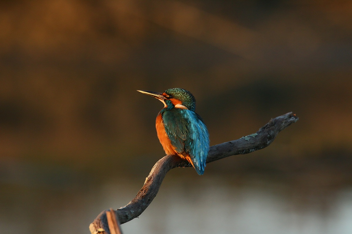 Martina admiring the sunset