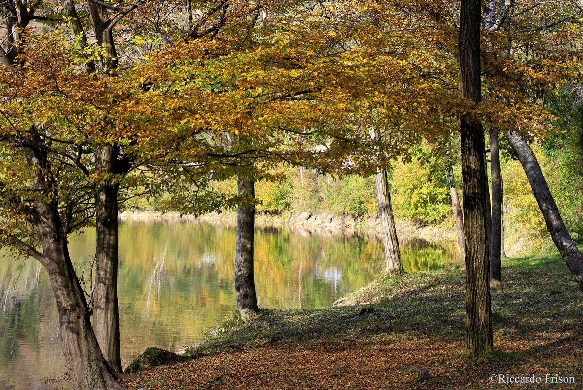 I colori dell'autunno del Lago