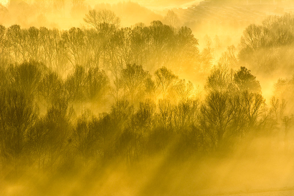 The rays of the Adda