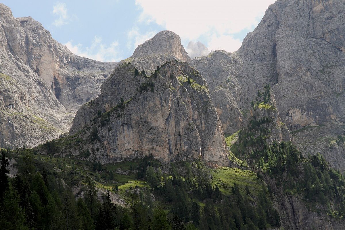 Pale di S. Martin - Detail