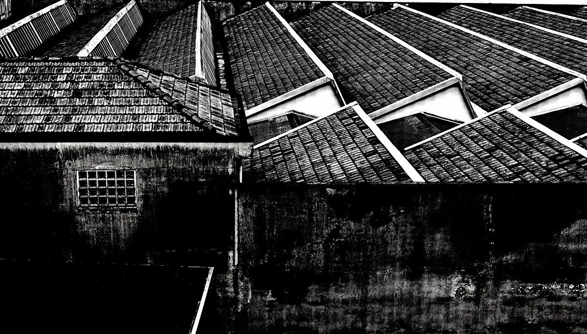 The window on the ... backyard!