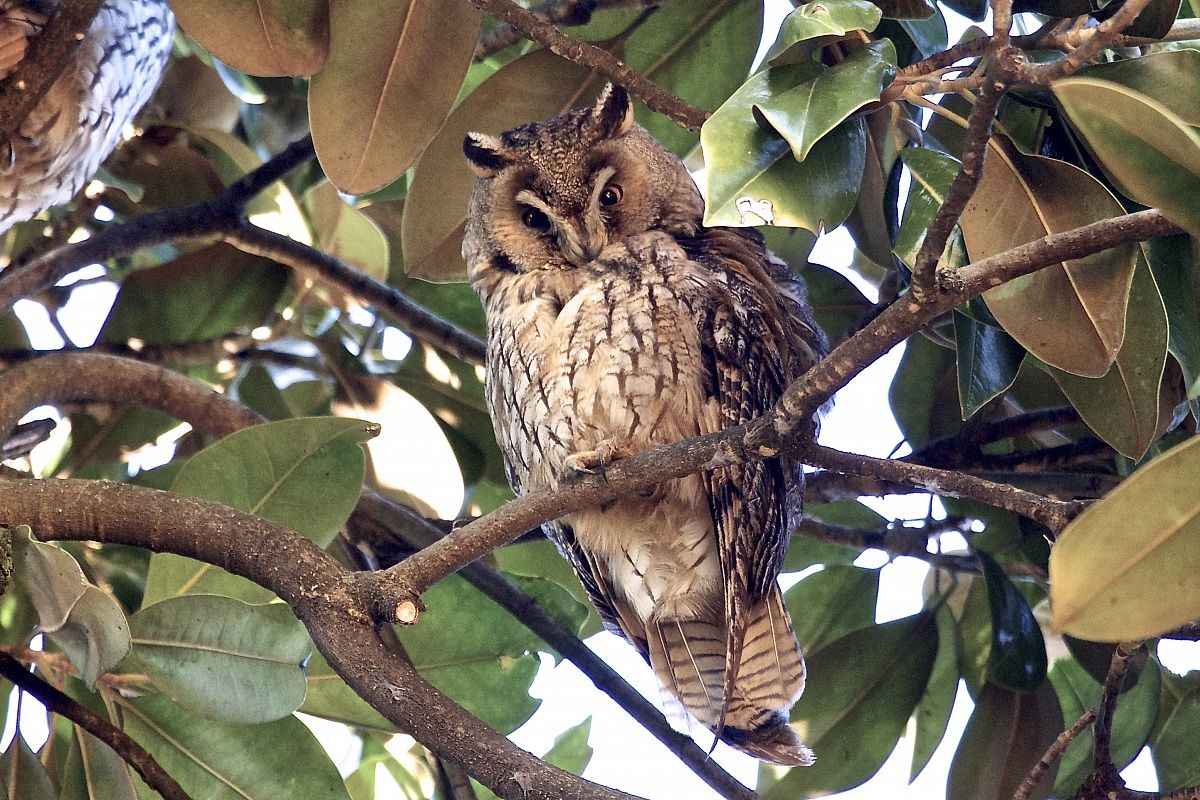 cosa vuole questo qua sotto?