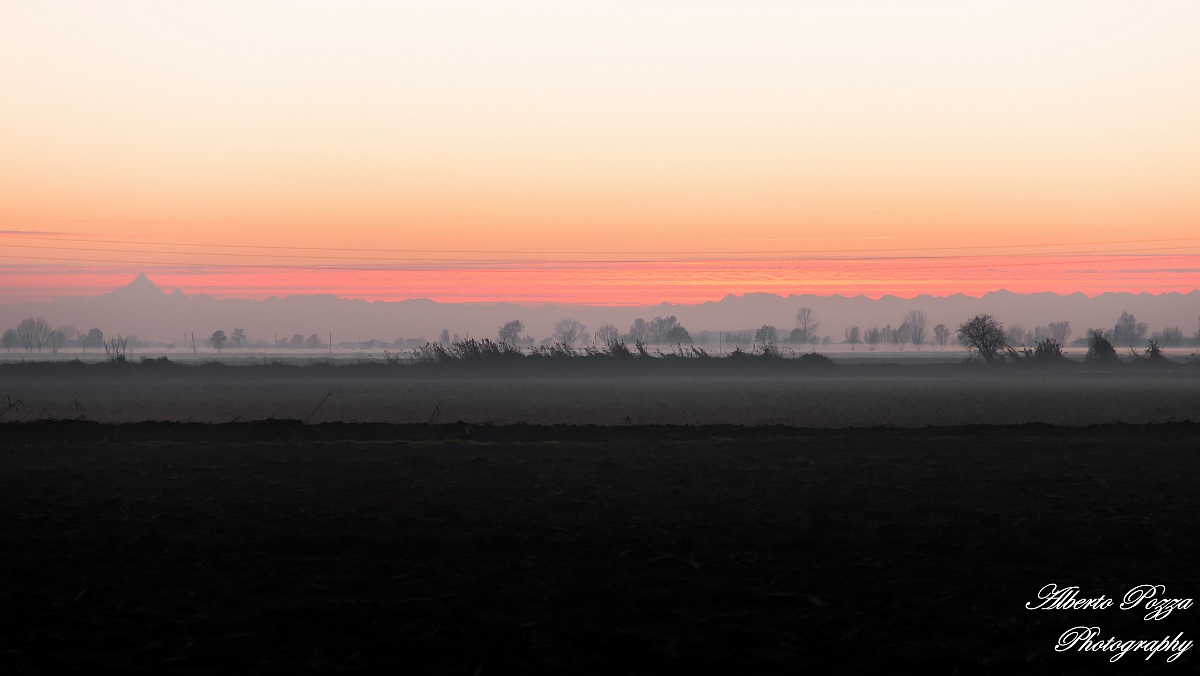 D800...ritirata e messa subito all'opera!!!