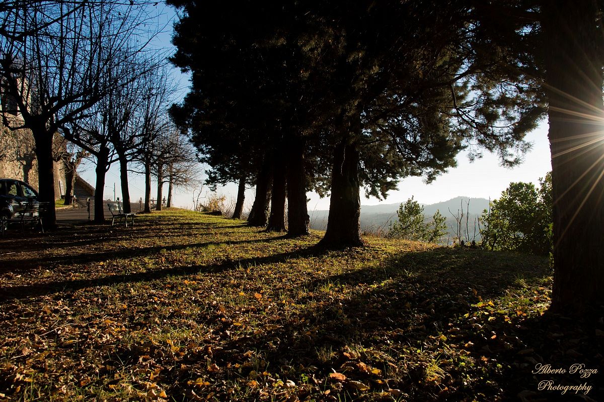 Looking for the right lights ........