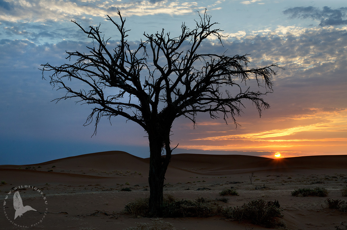 tramonto nei pressi di Hiddenvlei