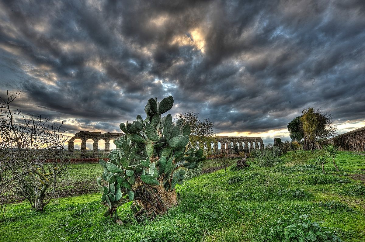 Rome: Children of the aqueducts