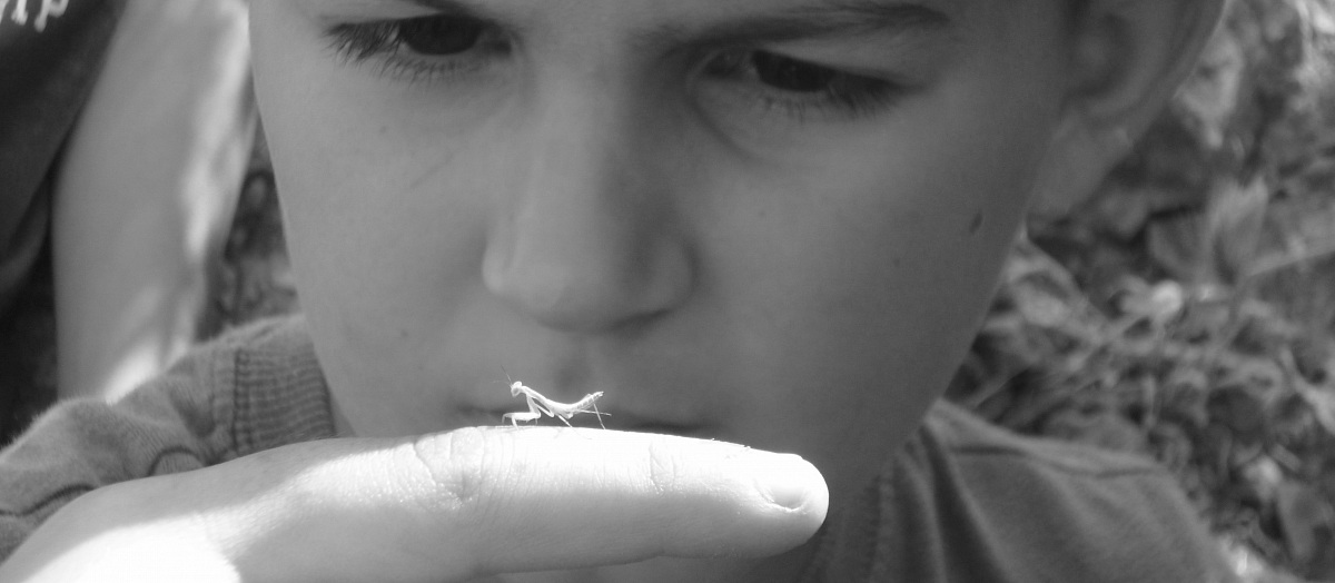 un micromondo tutto da scoprire