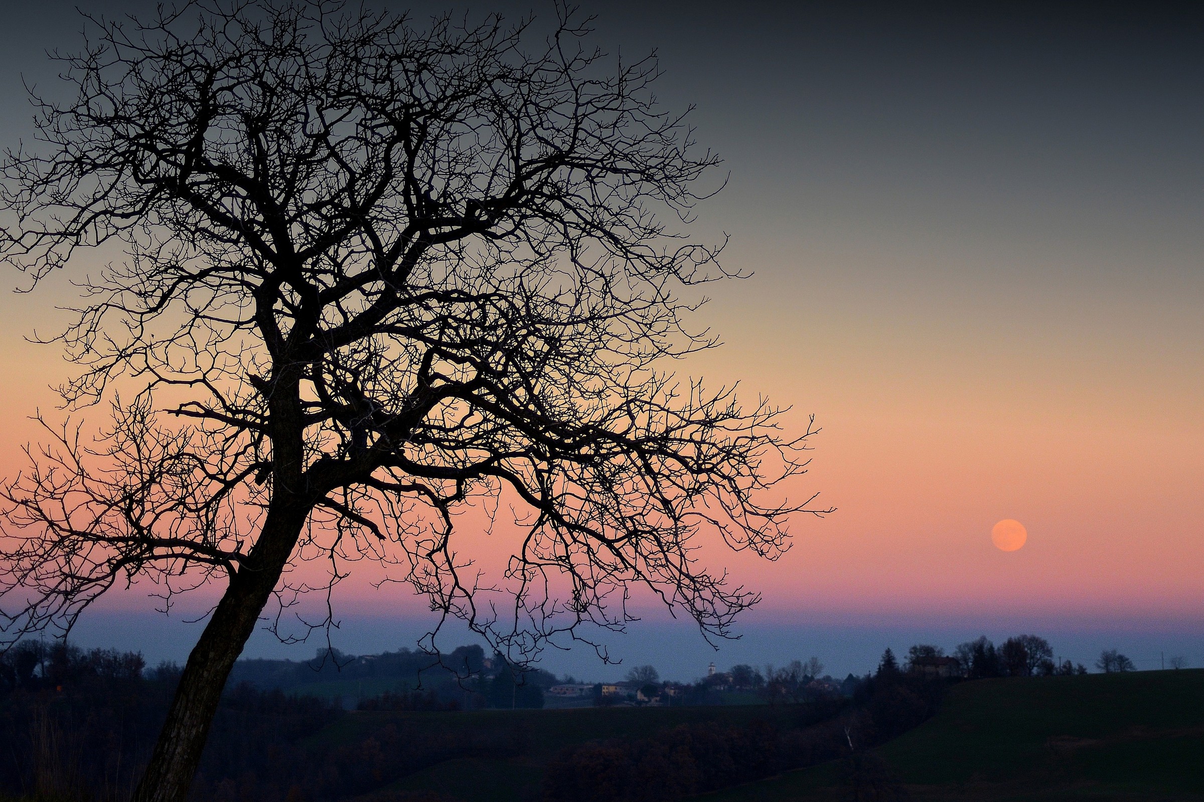 La luna sta sorgendo