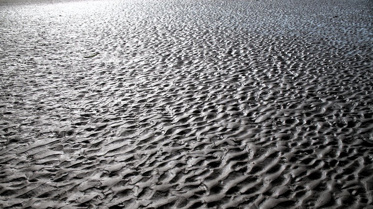 Low Tide