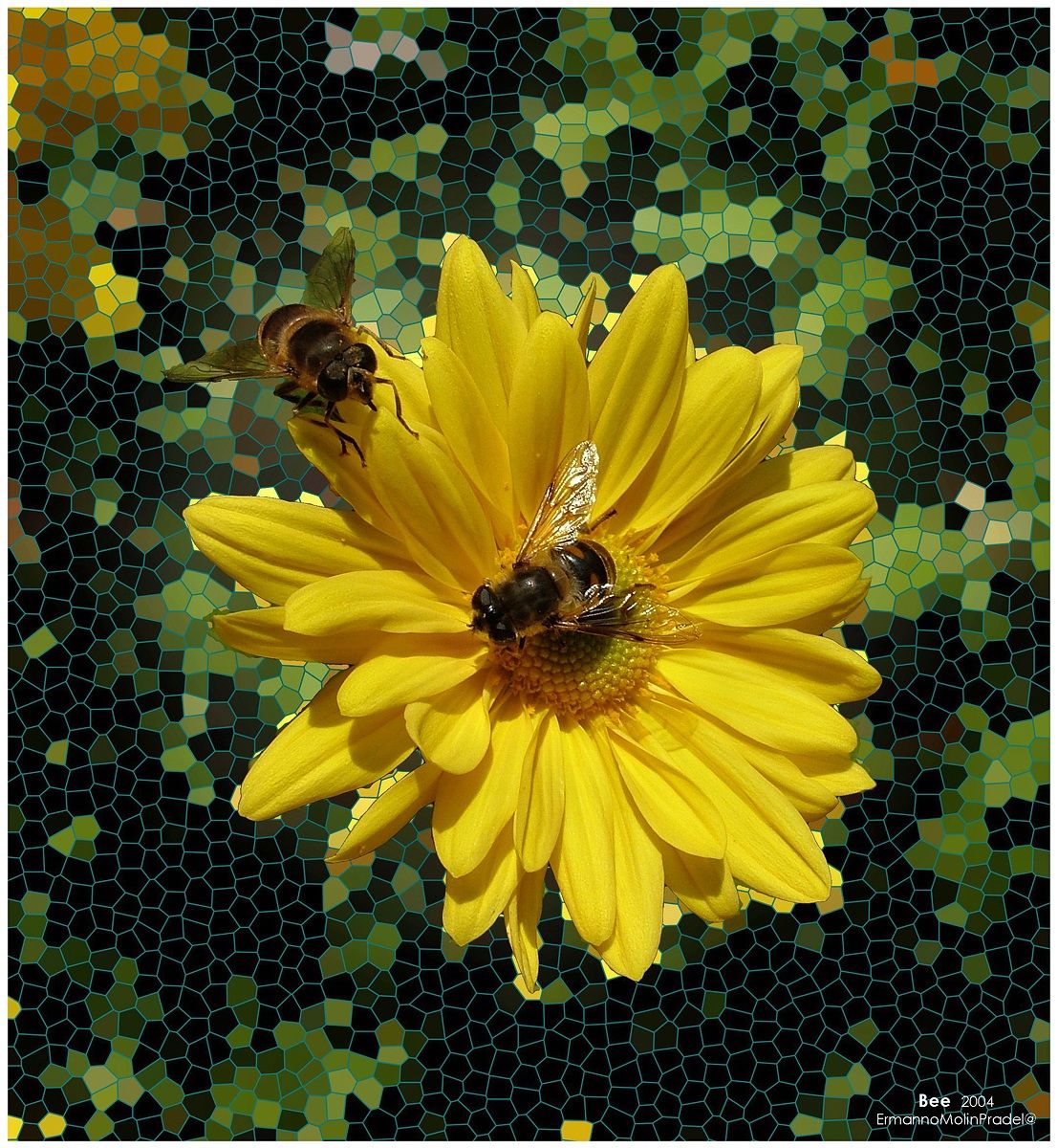 to bee or not to bee ..