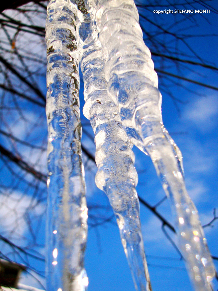 icicles