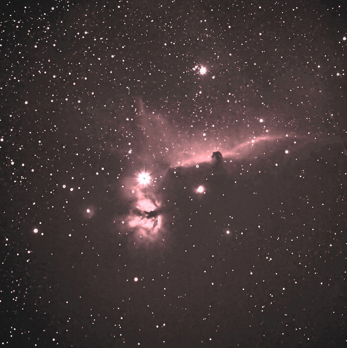 La fiamma e la testa di cavallo