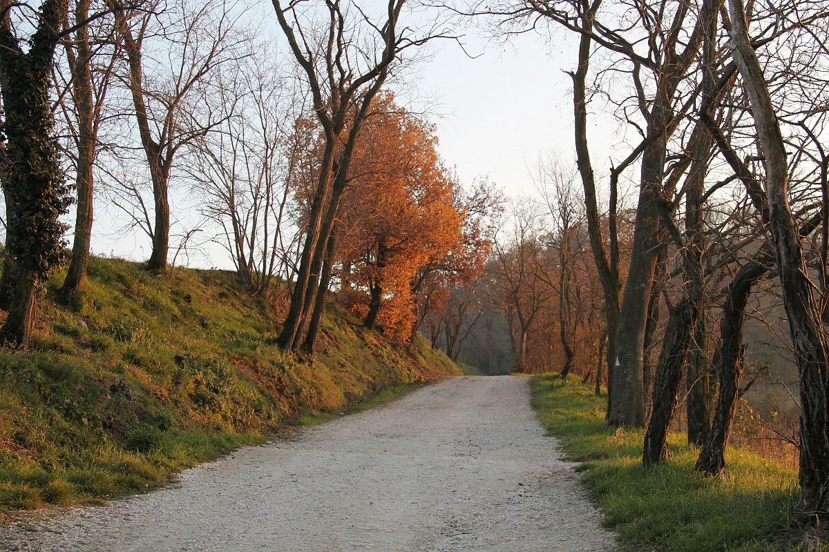 Sentiero per Villa Beatrice