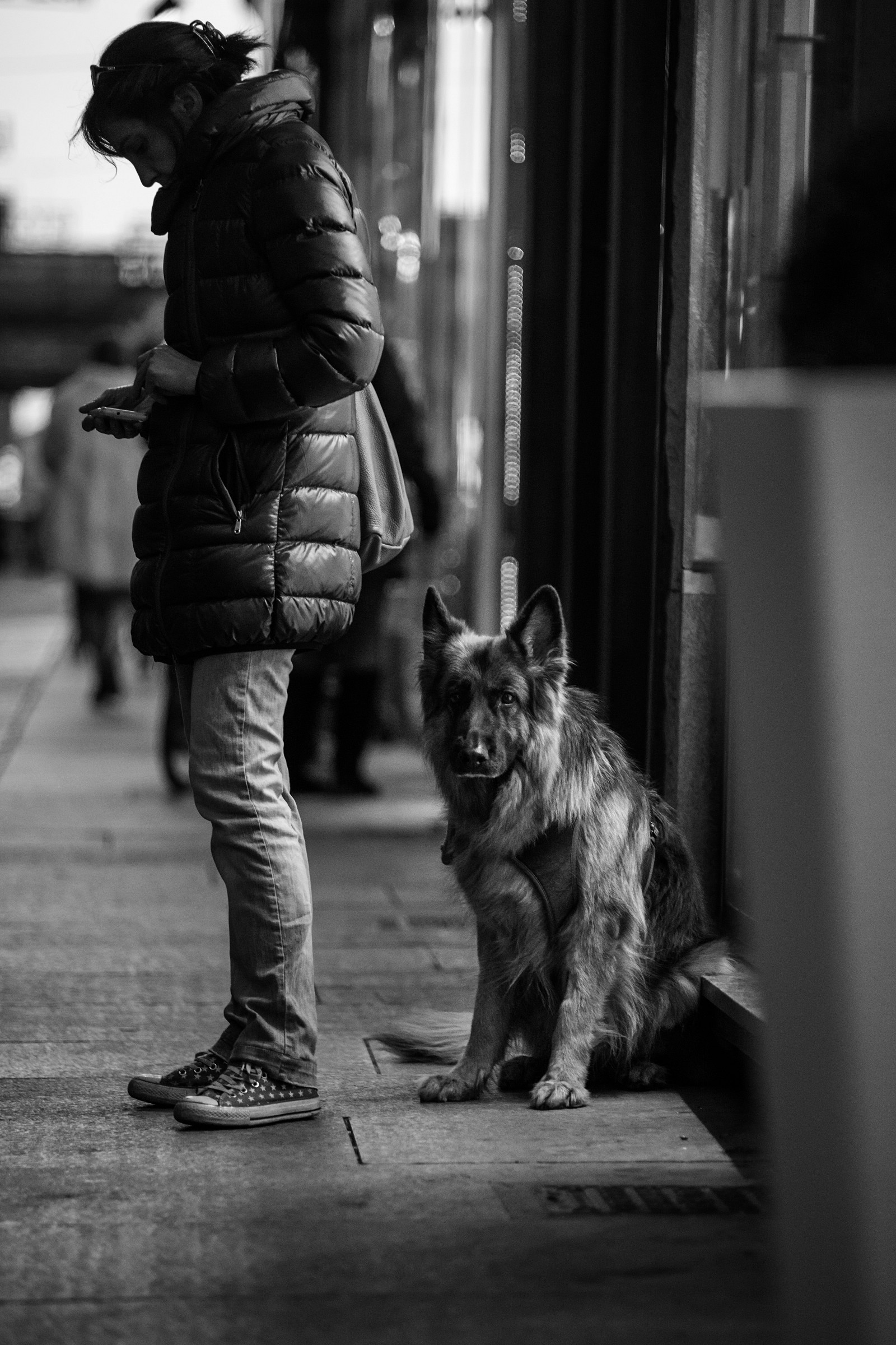 Una ragazza e il suo cane