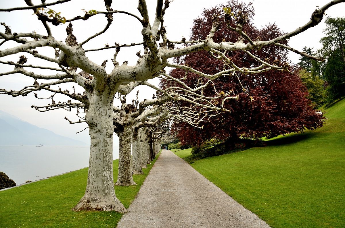 avenue villa bellagio melzi