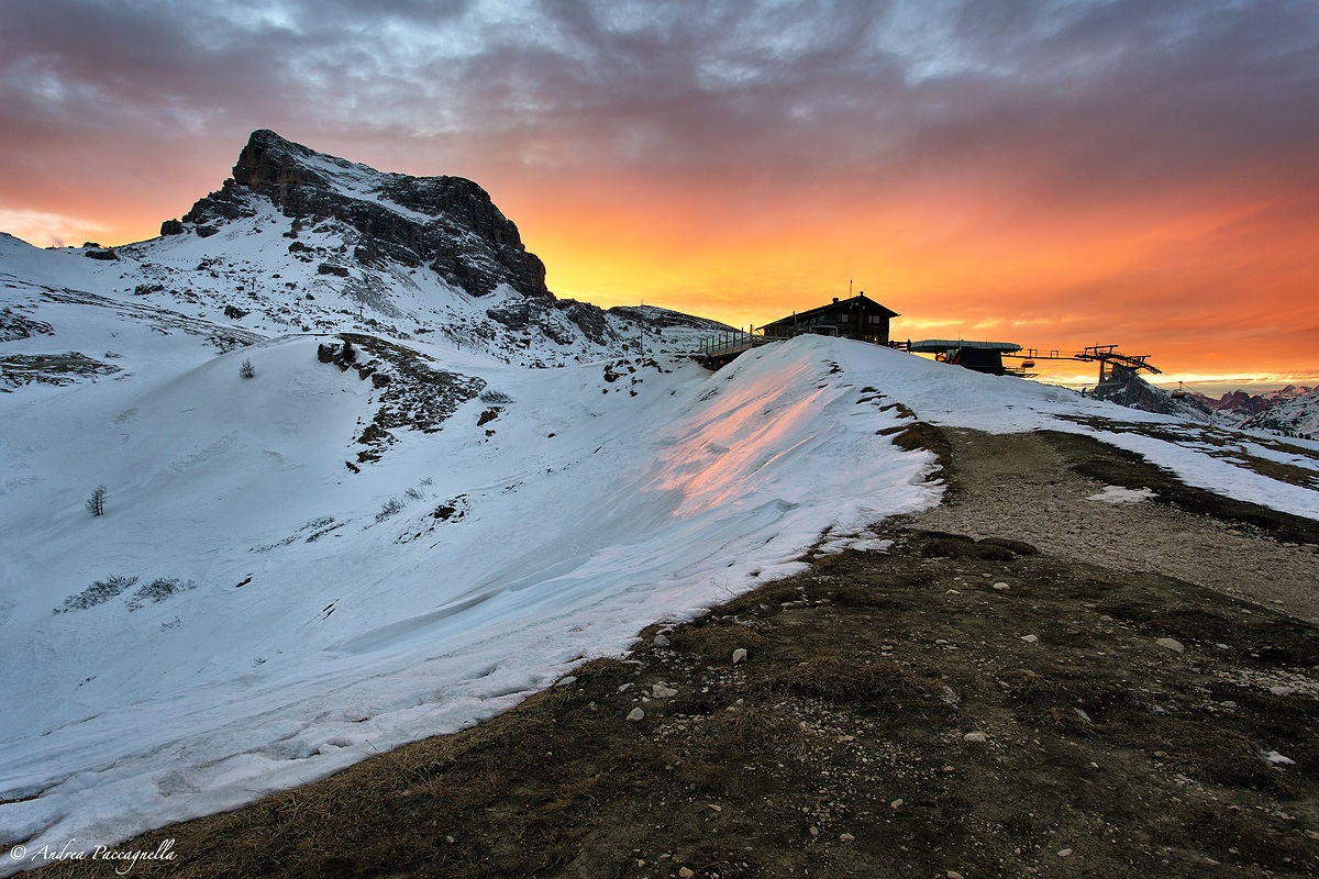 Squirrels refuge at sunset