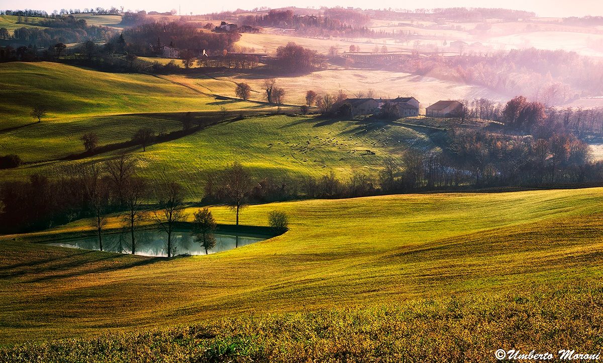 Morning in the hills