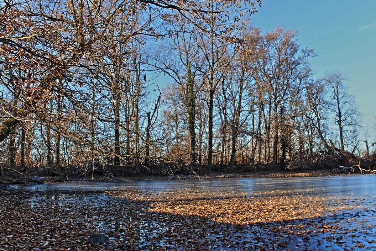 Frozen pond
