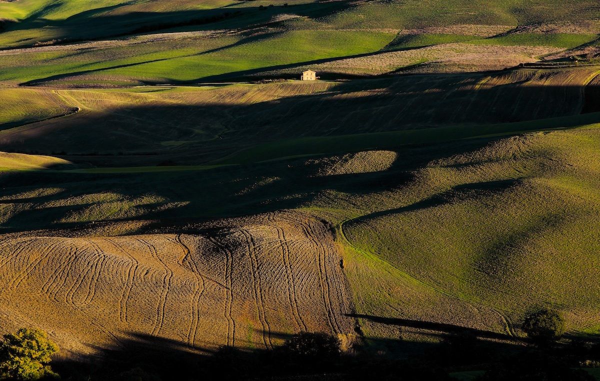 Terre...(in val d'Orcia)