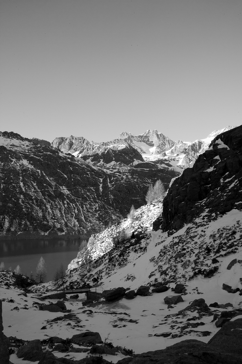 Paesaggio in bianco e nero