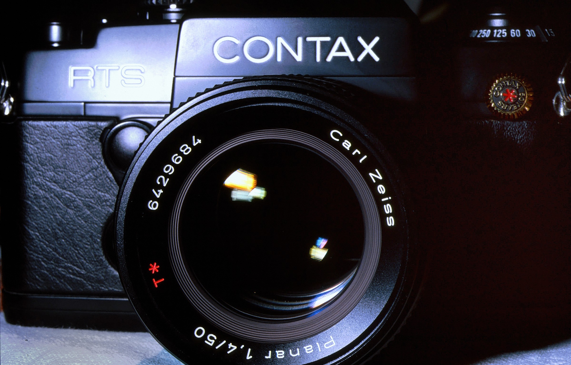 La fedele amica - 1993