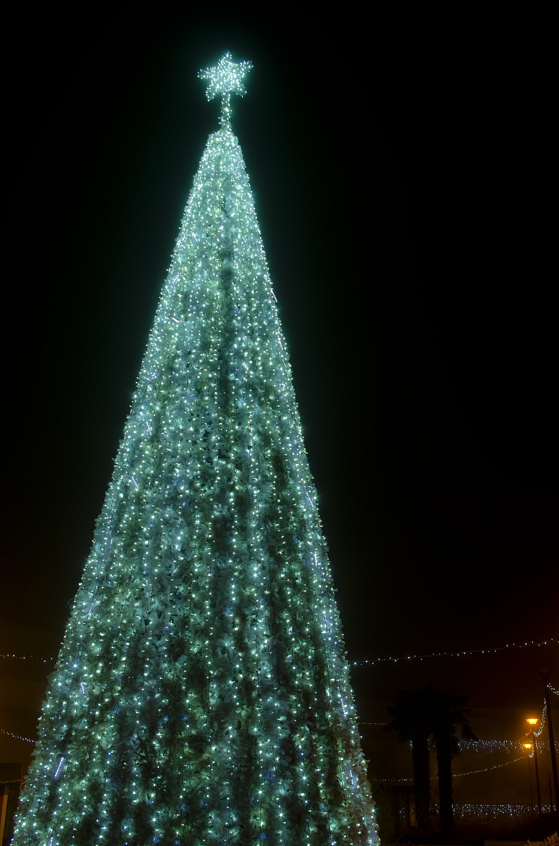 Even in Bibione we have the Christmas tree