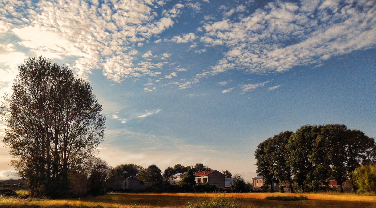 Summer in the Country