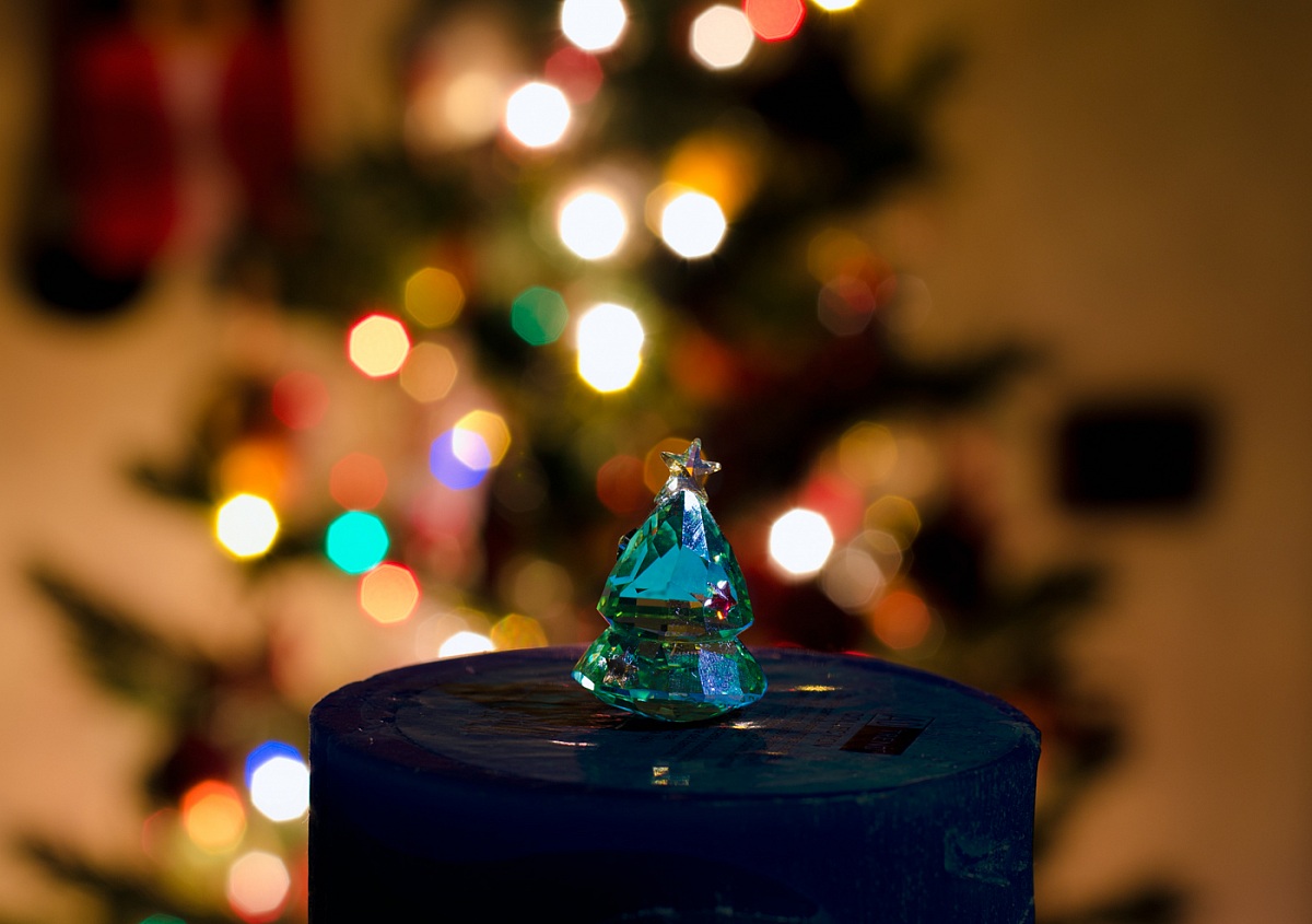 Christmas Tree! Merry Christmas!