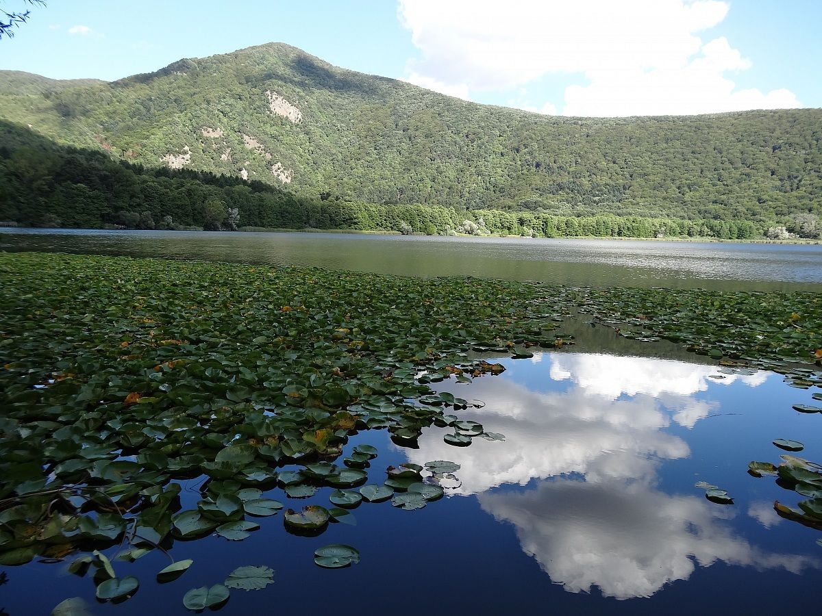 Large lake Monticchio, water lilies and mountains