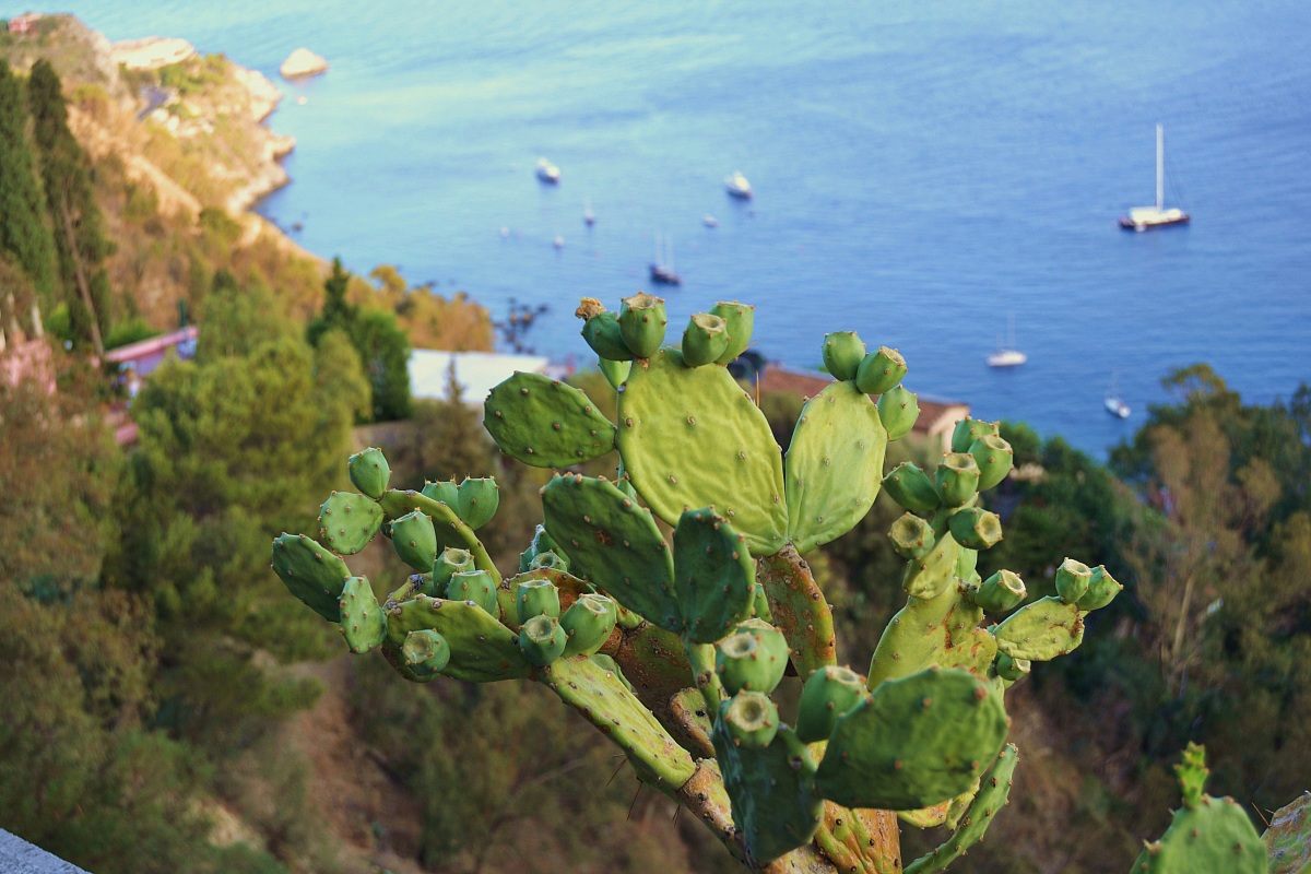 Taormina glimpse of the sea