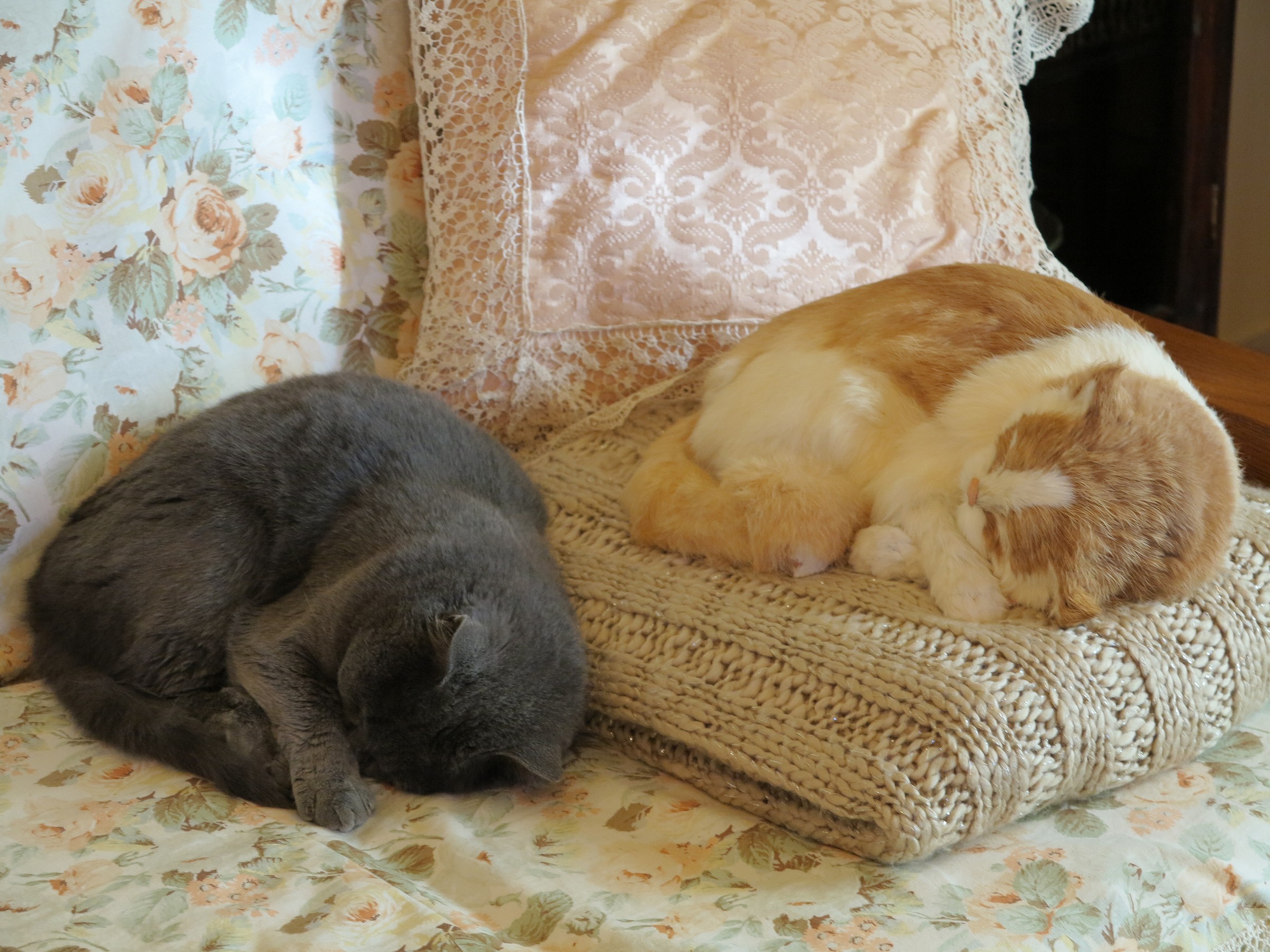 The real and the fake.