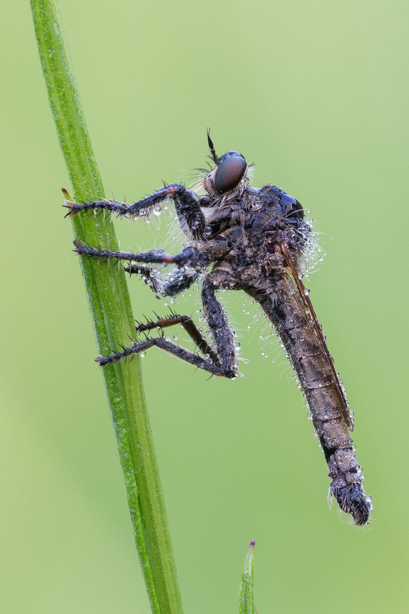 Someone please tell me what my name is