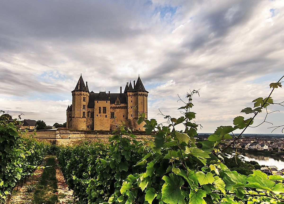Castle saumur