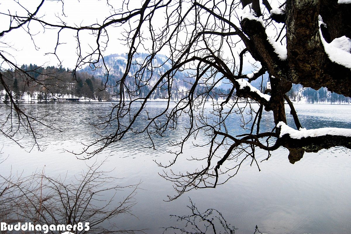 Lake Bled