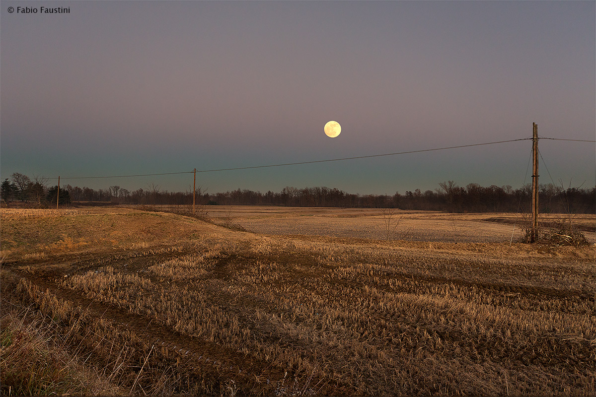Quasi notte sulla risaia
