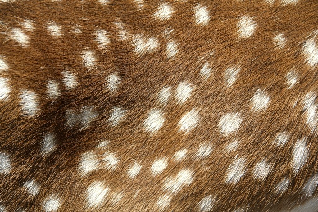 Live background-Canon EOS 60D-f\5.6-1\1000sec-iso.320