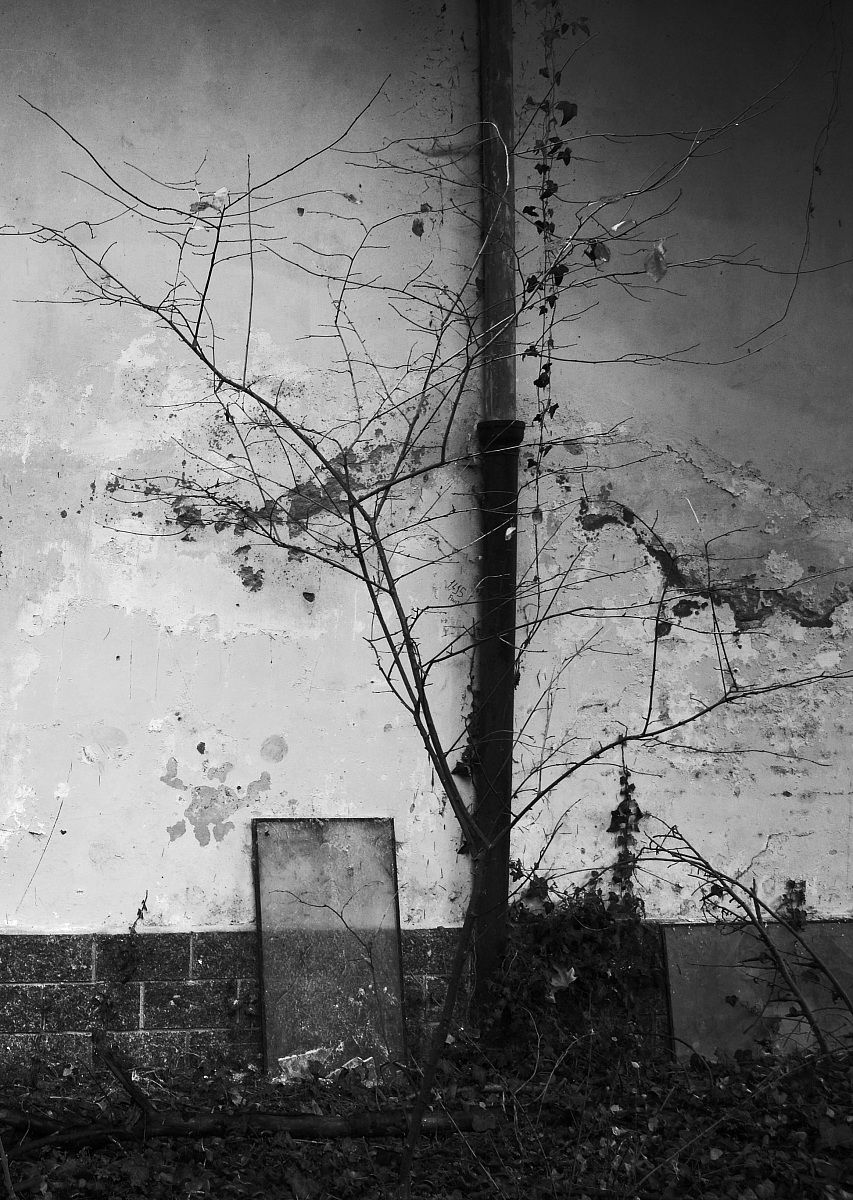 abandoned barracks 7