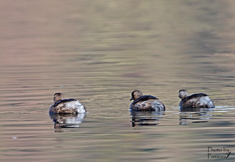 You give us photographers ... and we're leaving!